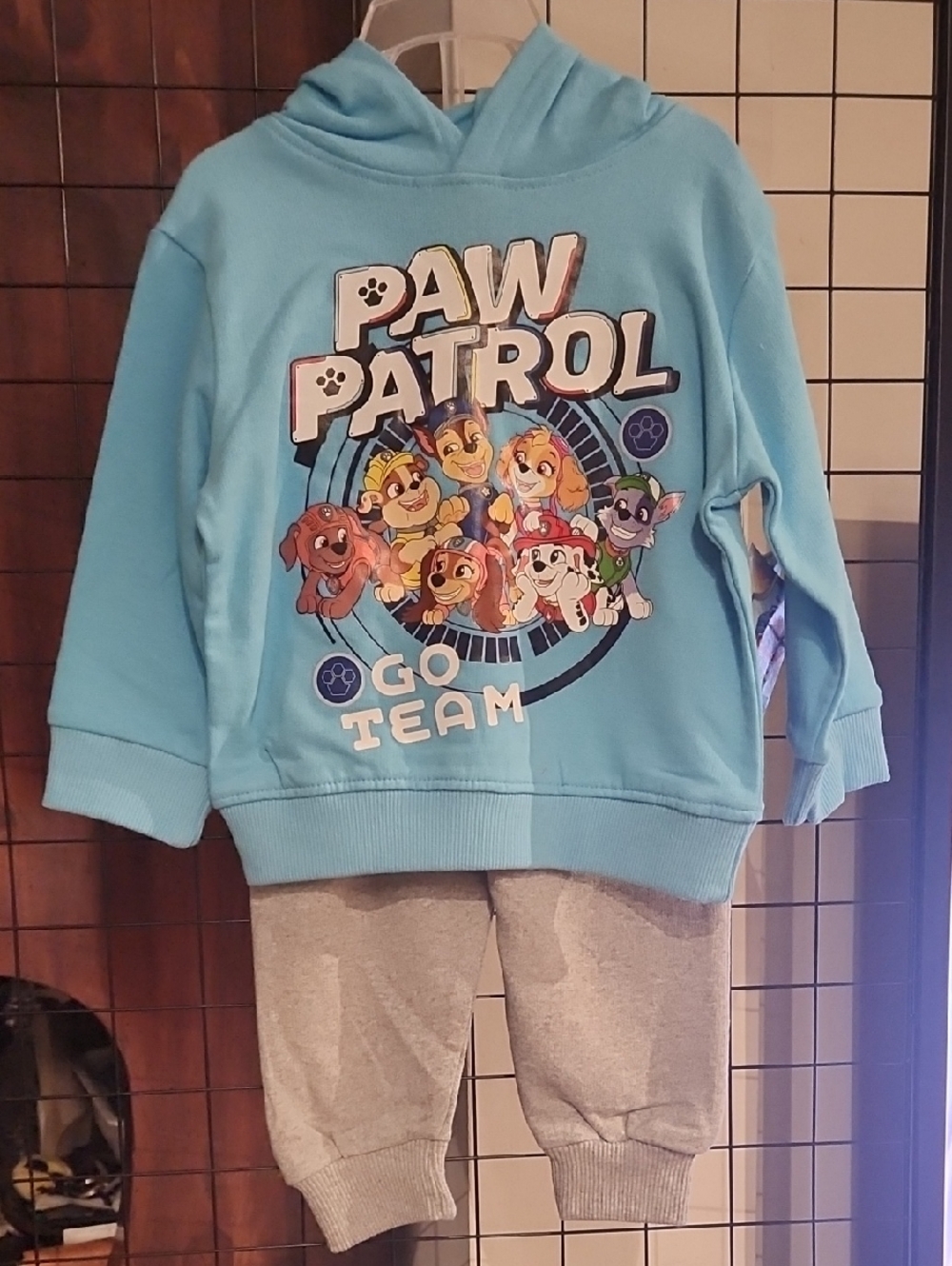 Nickelodeon Paw Patrol Blue Hoodie & Gray Jogger Set